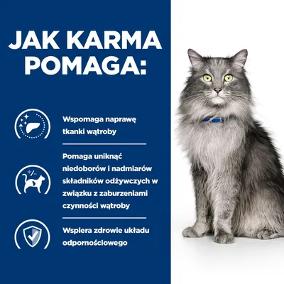 Jak karma pomaga: wspomaga naprawę tkanki wątroby, pomaga uniknąć niedoborów i nadmiarów składników odżywczych przy zaburzeniach wątroby, wspiera zdrowie układu odpornościowego.