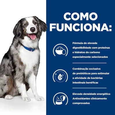 Texto: COMO FUNCIONA. Fórmula de elevada digestibilidade com proteínas e hidratos de carbono especialmente selecionados. Combinação exclusiva de prebióticos para estimular bactérias intestinais benéficas. Elevada densidade energética. Antioxidantes clinicamente comprovados.