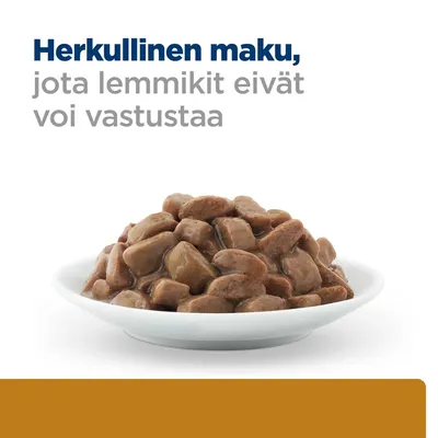 Herkullinen maku, jota lemmikit eivät voi vastustaa -teksti ja lautasella kastikkeessa olevia ruskeita paloja, mahdollisesti lemmikkiruokaa.