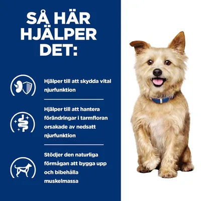 Så här hjälper det: Hjälper till att skydda vital njurfunktion, hantera förändringar i tarmfloran orsakade av nedsatt njurfunktion och stödjer muskelmassa.