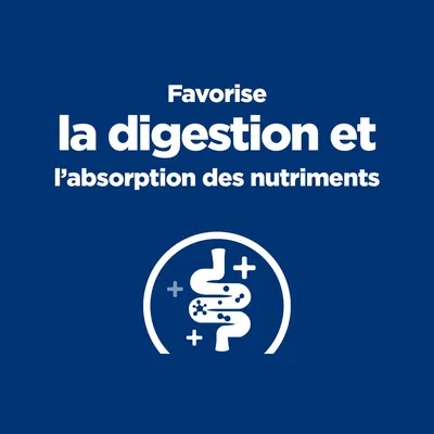 Favorise la digestion et l’absorption des nutriments
