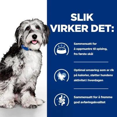 Hill's Prescription Diet On-Care med høns