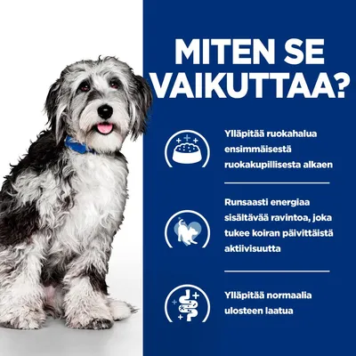 Teksti: MITEN SE VAIKUTTAA? Ylläpitää ruokahalua ensimmäisestä ruokakupillisesta alkaen. Runsaasti energiaa sisältävää ravintoa, joka tukee koiran päivittäistä aktiivisuutta. Ylläpitää normaalia ulosteen laatua.