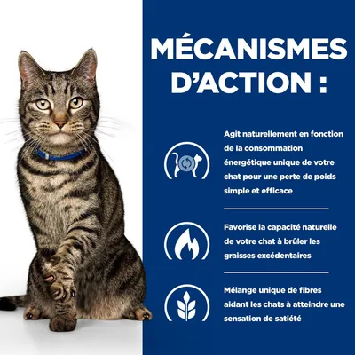 MÉCANISMES D’ACTION : Agit naturellement selon la consommation énergétique du chat, favorise la combustion des graisses et mélange de fibres pour la satiété. Texte en fr_BE.