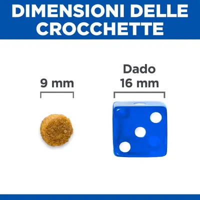Dimensioni delle crocchette: confronto tra una crocchetta da 9 mm e un dado blu da 16 mm, con testo esplicativo sopra le immagini.