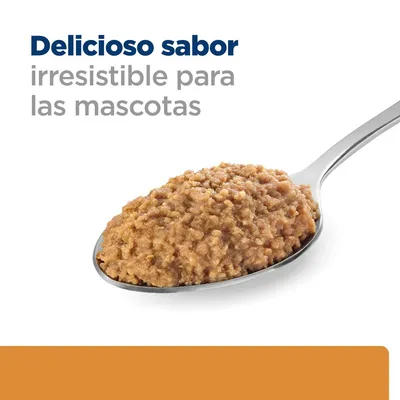 Texto visible: Delicioso sabor irresistible para las mascotas. Cucharada de comida húmeda marrón para mascotas sobre fondo blanco.