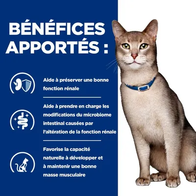 BÉNÉFICES APPORTÉS : aide à préserver une bonne fonction rénale, soutenir le microbiome intestinal et maintenir une bonne masse musculaire. Chat avec collier bleu visible à droite.