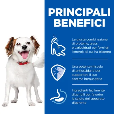 PRINCIPALI BENEFICI: combinazione di proteine, grassi e carboidrati; miscela di antiossidanti; ingredienti digeribili per la salute dell’apparato digerente. Testo in italiano.