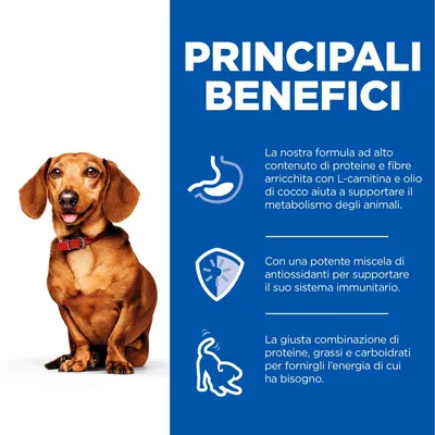 PRINCIPALI BENEFICI: formula ricca di proteine, fibre, L-carnitina e olio di cocco per il metabolismo; antiossidanti per il sistema immunitario; combinazione di nutrienti per energia.