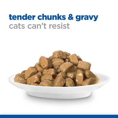 Lautasella paloja kastikkeessa, yläpuolella englanninkielinen teksti: tender chunks & gravy cats can’t resist
