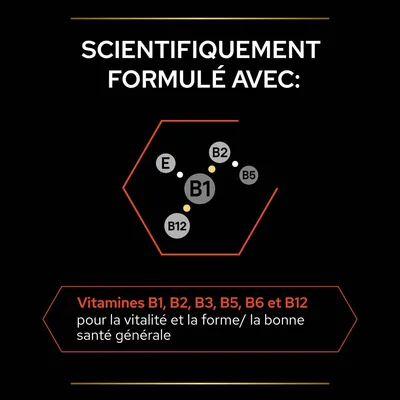 Scientifiquement formulé avec vitamines B1, B2, B3, B5, B6, B12 et E pour la vitalité, la forme et la bonne santé générale. Texte en français visible dans l’image.