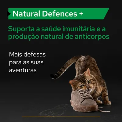 Natural Defences +. Suporta a saúde imunitária e a produção natural de anticorpos. Mais defesas para as suas aventuras. Texto em inglês e português visível na imagem.