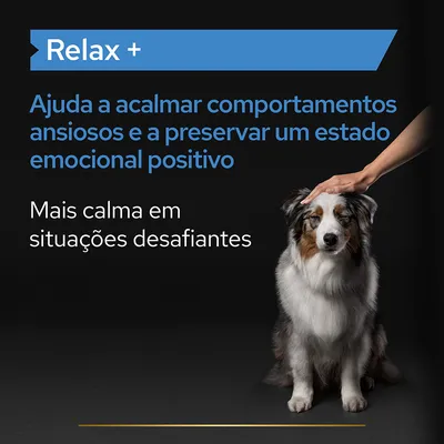 Relax +. Ajuda a acalmar comportamentos ansiosos e a preservar um estado emocional positivo. Mais calma em situações desafiantes.