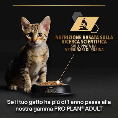 Nutrizione basata sulla ricerca scientifica sviluppata dai veterinari di Purina. Se il tuo gatto ha più di 1 anno passa alla nostra gamma PRO PLAN ADULT.