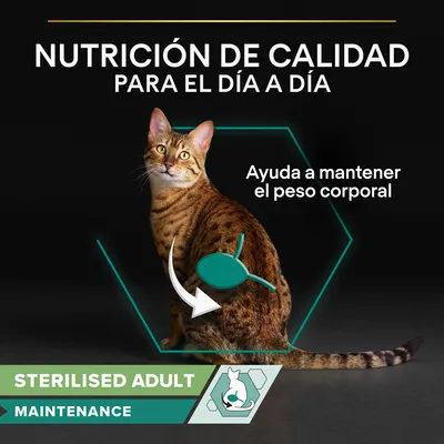 Nutrición de calidad para el día a día. Ayuda a mantener el peso corporal. STERILISED ADULT MAINTENANCE.