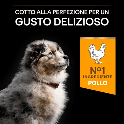 Cotto alla perfezione per un gusto delizioso. N°1 ingrediente pollo.