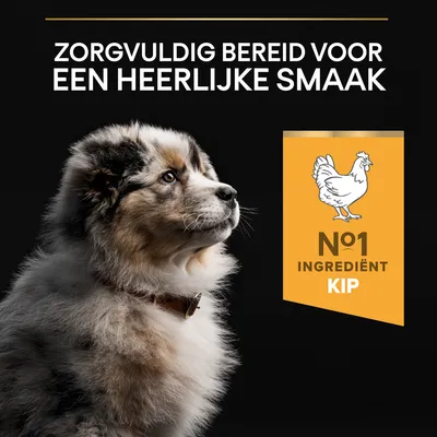 Zorgvuldig bereid voor een heerlijke smaak. Nº1 ingrediënt kip.
