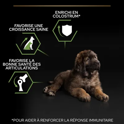 Enrichi en colostrum, favorise une croissance saine et la bonne santé des articulations. Pour aider à renforcer la réponse immunitaire. Texte en français belge visible sur l’image.