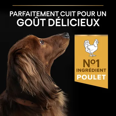 Parfaitement cuit pour un goût délicieux. N°1 ingrédient poulet.
