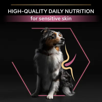 High-quality daily nutrition for sensitive skin, shown with a dog and graphic highlighting skin health benefits.