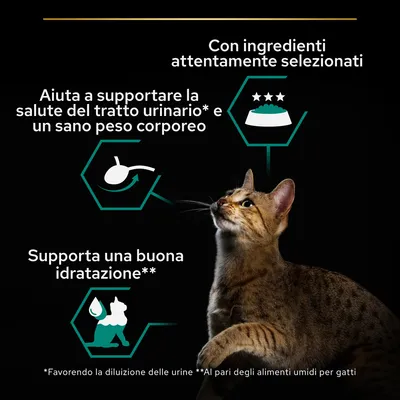 Con ingredienti attentamente selezionati. Aiuta a supportare la salute del tratto urinario e un sano peso corporeo. Supporta una buona idratazione. Gatto marrone in primo piano.