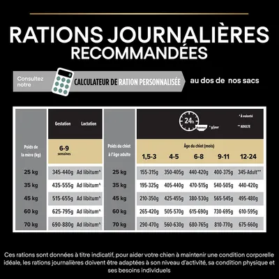 Tableau des rations journalières recommandées pour chiens selon poids et âge, gestation, lactation et croissance. Exemple : 25 kg, 6–9 semaines : 345–440 g ; 12–24 mois : 345 g adulte.
