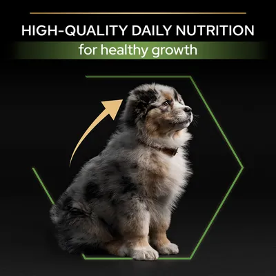 Teksti: HIGH-QUALITY DAILY NUTRITION for healthy growth. Kuvassa pentukoira istuu mustalla taustalla, nuoli osoittaa koiraan. Teksti englanniksi.