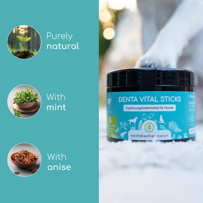 DENTA VITAL STICKS kiegészítő eledel kutyáknak a wolfsbacher natur-tól, teljesen természetes, mentával, ánizzsal DENTA VITAL STICKS kiegészítő eledel kutyáknak a wolfsbacher natur-tól, teljesen természetes, mentával, ánizzsal