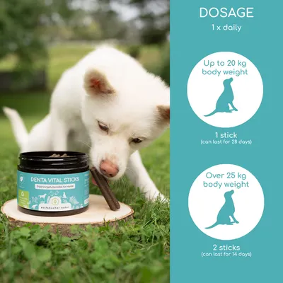 Denta Vital Sticks kiegészítő eledel kutyáknak. Adagolás: 20, kg testsúlyig napi 1 stick, 25, kg testsúly felett napi 2 stick. Denta Vital Sticks kiegészítő eledel kutyáknak. Adagolás: 20, kg testsúlyig napi 1 stick, 25, kg testsúly felett napi 2 stick.