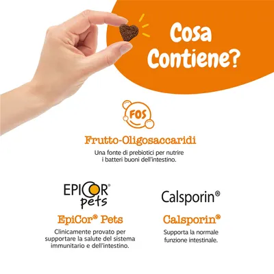 Zesty Paws Probiotic Chews Zucca