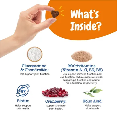 Image lists ingredients: glucosamine and chondroitin for joint function, multivitamins A, C, B3, B5 for immune and gut health, biotin and folic acid for skin, cranberry for urinary tract.