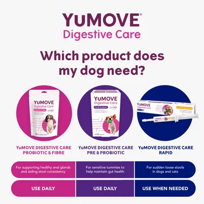 Comparison of YuMOVE Digestive Care products: Probiotic & Fibre for stool consistency, Pre & Probiotic for gut health, Rapid for sudden loose stools. Use daily or as needed.