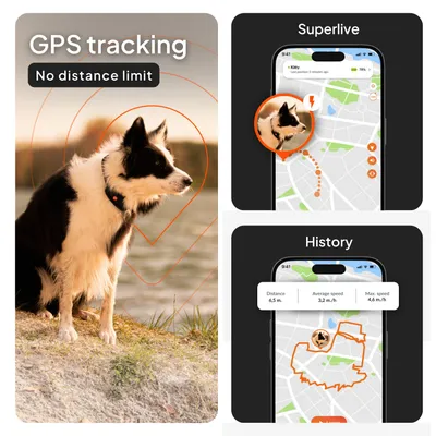 Weenect Pet XT GPS nyomkövető kutyáknak