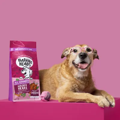 Bag of Barking Heads All Hounder Golden Years chicken complete pet food shown next to a dog wearing glasses and a pink toy ball on a pink background.