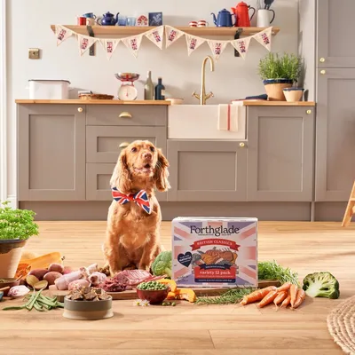 Dog sitting beside a Forthglade British Classics variety 12 pack box, surrounded by fresh vegetables and raw meat ingredients displayed on the floor in a kitchen setting.