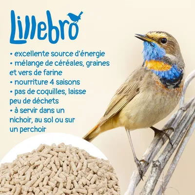 Lillebro : excellente source d’énergie, mélange de céréales, graines et vers de farine, nourriture 4 saisons, pas de coquilles, à servir dans un nichoir, au sol ou sur un perchoir.