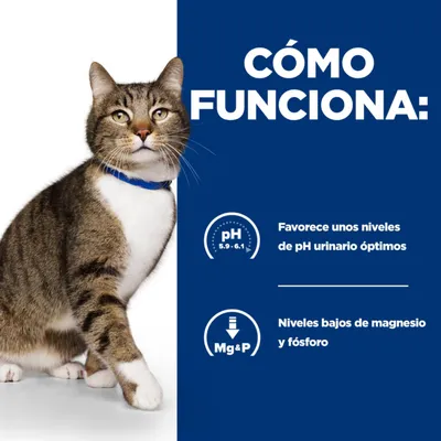 Gato junto a texto: 'CÓMO FUNCIONA: Favorece unos niveles de pH urinario óptimos (pH 5.9–6.1). Niveles bajos de magnesio y fósforo (Mg&P)'.
