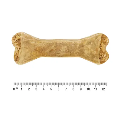 Tuggben av pressat nöthud, längd ca 12 cm, måttskala i centimeter synlig.