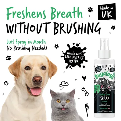 Dental care spray product with text: Freshens breath without brushing, just spray in mouth, no brushing needed, made with Lake District water, made in UK.