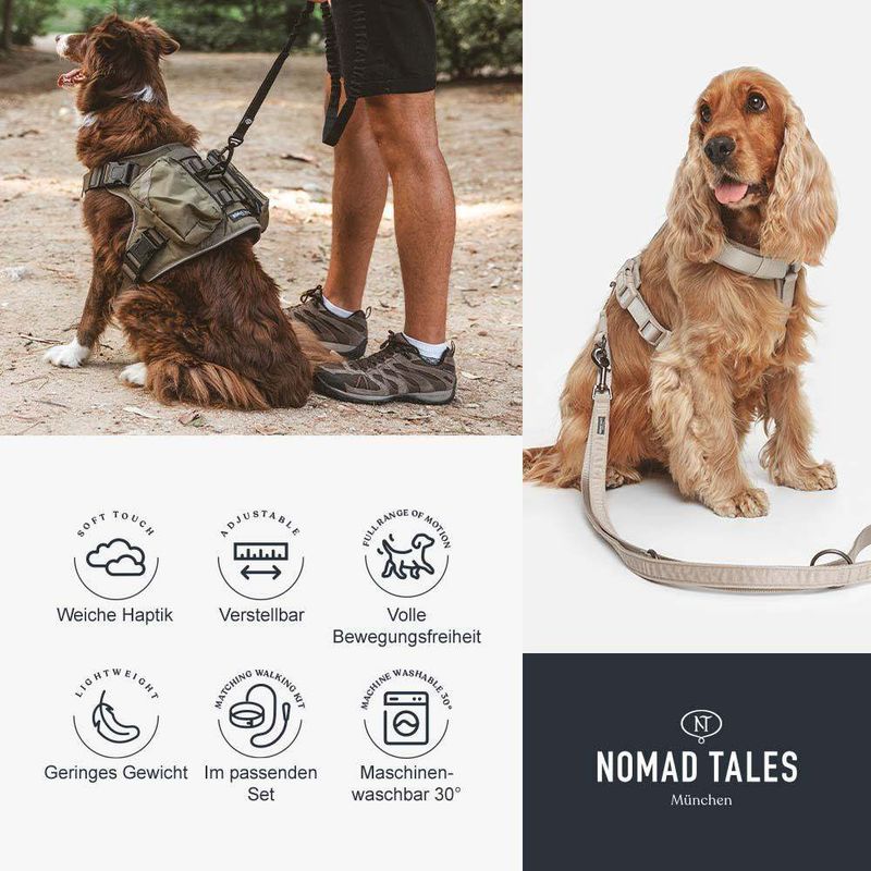 Nomad Tales Hundeleine Blush Limited Edition, mocha