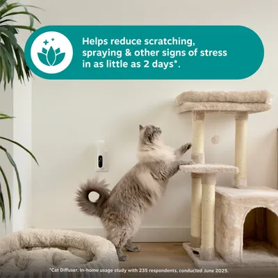 Zesty Paws Cat Calming Diffuser Kit Orchid Mist - 30g Zesty Paws Cat Calming Diffuser Kit Orchid Mist - 30g