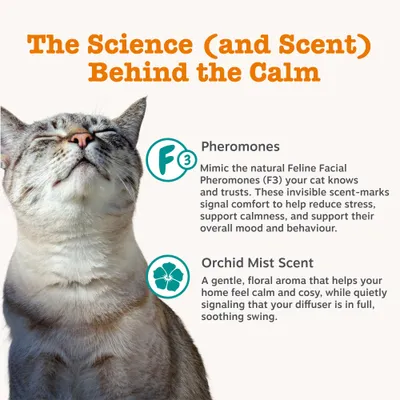 Zesty Paws Cat Calming Diffuser Refill Orchid Mist - 75g Zesty Paws Cat Calming Diffuser Refill Orchid Mist - 75g