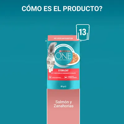 Purina ONE Sterilcat, 85 g, salmón y zanahorias. Paquete con imagen de un gato y comida húmeda. Texto visible: 'Mit Lachs und Karotten', 'Gewichtskontrolle', 'Unterstützt gesunde Harnwege'.