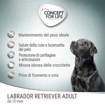 Concept for Life. Mantenimento del peso ideale, salute della cute e lucentezza del pelo, protezione di cartilagine e articolazioni, misura idonea delle crocchette, privo di frumento e soia. Labrador Retriever Adult dai 15 mesi.