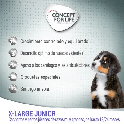 Concept for Life X-Large Junior. Crecimiento controlado, desarrollo de huesos y dientes, apoyo articular, croquetas especiales, sin trigo ni soja. Para cachorros de razas muy grandes hasta 18/24 meses.