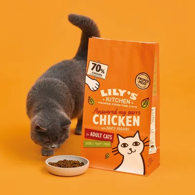 Bag labelled 70% chicken, answered my purrs chicken with tasty veggies for adult cats. A cat is eating from a bowl of dry food next to the bag.