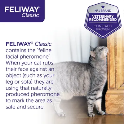 FELIWAY Classic contains feline facial pheromone. When a cat rubs their face on objects, they use this pheromone to mark the area as safe and secure. Veterinary recommended, clinically proven.