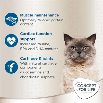 Concept for Life British Shorthair Adult  - с подобрена рецепта!