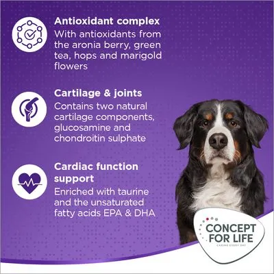 Concept for Life X-Large Adult