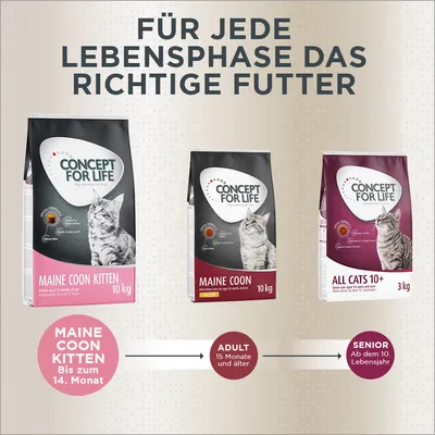 Concept for Life Katzenfutter für jede Lebensphase: Maine Coon Kitten bis 14 Monate, Adult ab 15 Monate, Senior ab dem 10. Lebensjahr. Verpackungen mit Produktbildern und Details sichtbar.